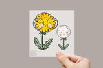 Lade das Bild in den Galerie-Viewer, Bügelbild "Pustezahn und Löwenblume" 2er Set