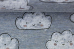 Lade das Bild in den Galerie-Viewer, Alpenfleece meliert Blau "Wolken" 0,1 m