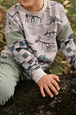 Lade das Bild in den Galerie-Viewer, Supersoft Premium French Terry "Fossilien" groß 0,85 m Rest
