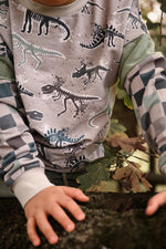 Lade das Bild in den Galerie-Viewer, Supersoft Premium French Terry "Fossilien" groß 0,85 m Rest
