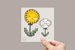 Lade das Bild in den Galerie-Viewer, Bügelbild "Pustezahn und Löwenblume" 2er Set
