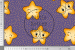Lade das Bild in den Galerie-Viewer, Design "Sternschauer" 0,5 m
