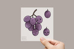 Lade das Bild in den Galerie-Viewer, Bügelbild "Weintrauben"
