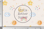 Lade das Bild in den Galerie-Viewer, Frottee Jersey "Sky Jar" COLLECTION 0,5 m
