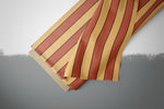 Lade das Bild in den Galerie-Viewer, Supersoft Premium BIO French Terry "Bearzard" Streifen klein 0,5 m
