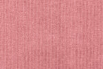 Lade das Bild in den Galerie-Viewer, Nicky Jersey Cupcake 0,1 m
