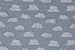 Lade das Bild in den Galerie-Viewer, Alpenfleece meliert Blau "Wolken" 0,1 m
