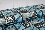 Lade das Bild in den Galerie-Viewer, Sweat angeraut "Danger Dinos" 0,1 m ABVERKAUF
